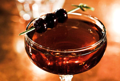 Premium Cocktail Garnishes for Mixologists